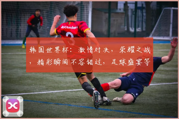 韩国世界杯：激情对决，荣耀之战，精彩瞬间不容错过，足球盛宴等你来观