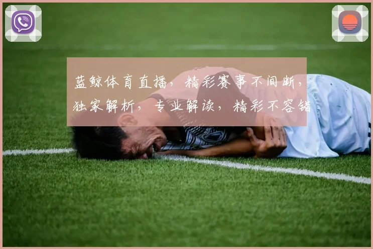 蓝鲸体育直播，精彩赛事不间断，独家解析，专业解读，精彩不容错过，锁定蓝鲸，共享激情
