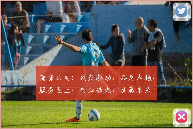 蒲京公司：创新驱动，品质卓越，服务至上，行业领先，共赢未来